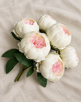 Cream Peony Bunch