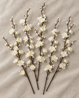 White Blossom Branches