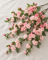 Pink Camellia Branches