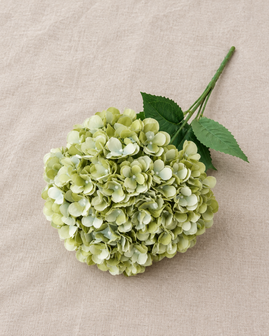 Sage Green Artificial Hydrangea Stem, shown alone on a linen background