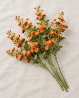 Burnt Orange Blossom Stems