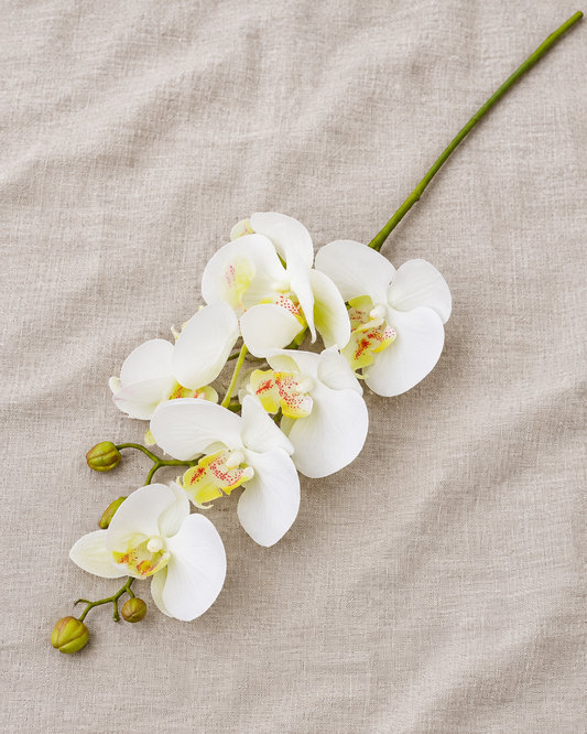 White Artificial Phalaenopsis Orchid Stem, shown alone on a linen background