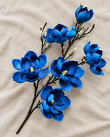 Rama de magnolia azul real