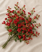 Red Spray Rose Stems