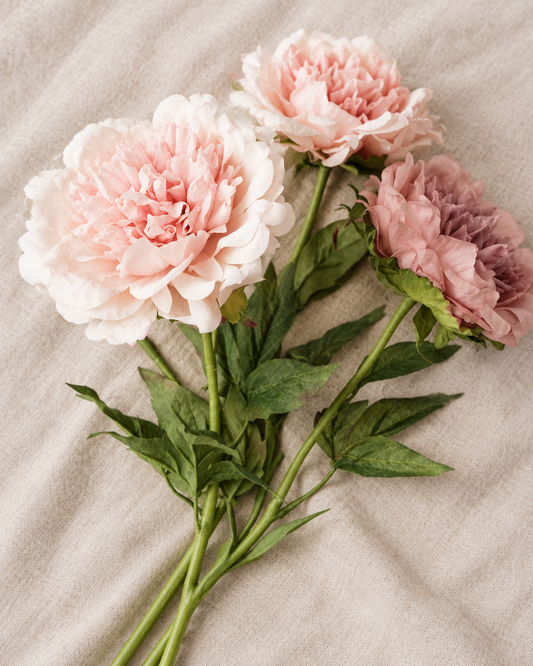 Blush Pink Artificial Peony Stems, shown alone on a linen background