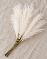 Cream Pampas Reed Stems
