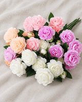 Mixed Colour Peony Bouquet