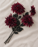Burgundy Dahlia Stems