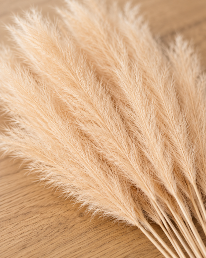 Close-up detail of the beige artificial pampas grass stems on an oak table