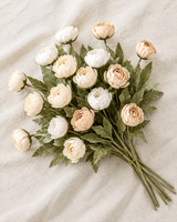 Cream Apricot Ranunculus Stems
