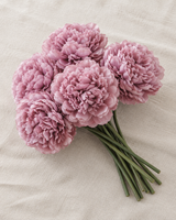 Dusty Mauve Peony Bunch