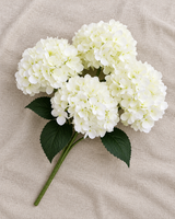 Cream White Hydrangea Bouquet
