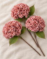 Dusty Rose Hydrangea Stems