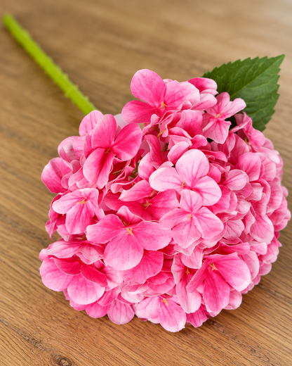Close-up detail of the hot pink artificial hydrangea stem on an oak table