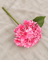 Hot Pink Hydrangea Stem