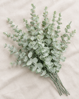 Sage Eucalyptus Stems