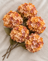 Orange Hydrangea Bouquet