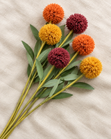 Tallos de pompones otoñales
