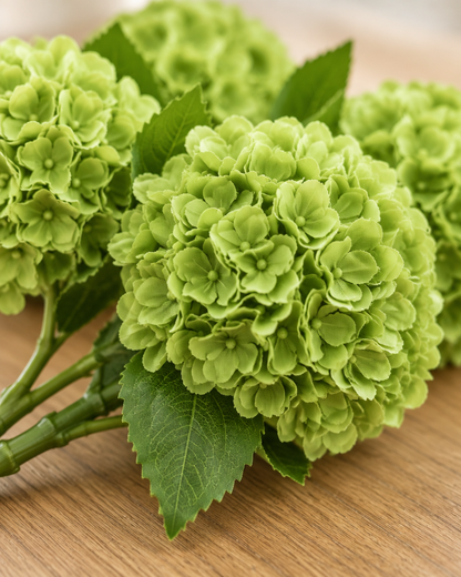 Close-up detail of the apple green artificial hydrangea stems on an oak table